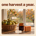 Persimmons, kakishibu and the aki bar: one harvest a year